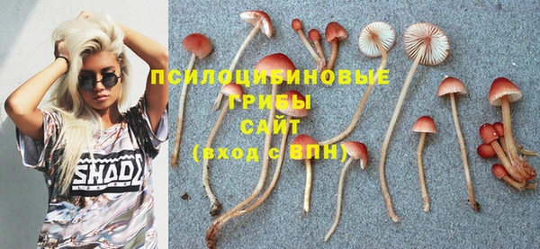 прущая мука Белокуриха