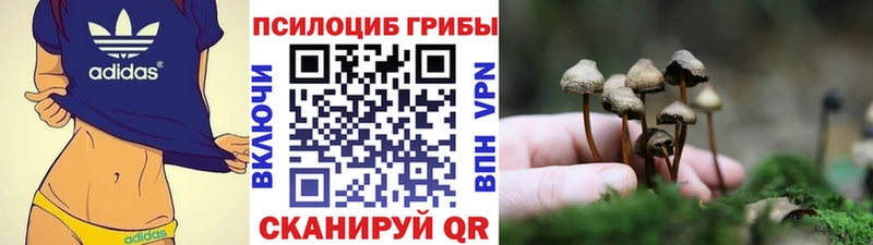 Псилоцибиновые грибы ЛСД МЕГА зеркало Белокуриха